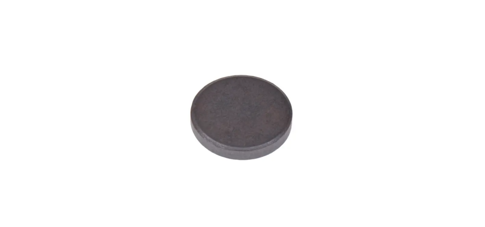 Magnetische schijfjes 30x5mm Set/10st. 